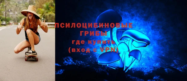 прущие грибы Гусь-Хрустальный
