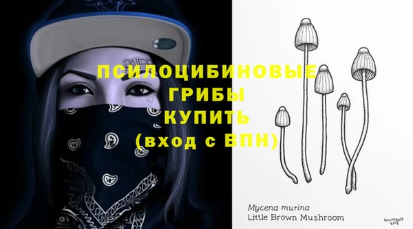 мет Гусиноозёрск