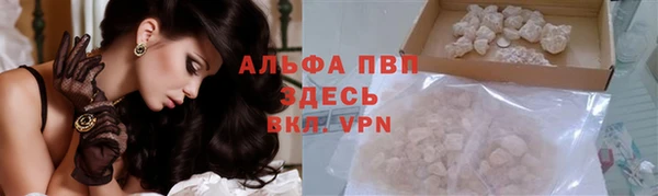 прущие грибы Гусь-Хрустальный
