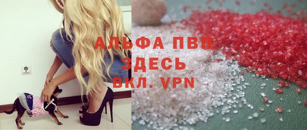 прущие грибы Гусь-Хрустальный